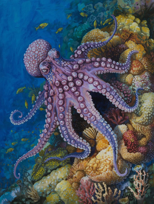 Paint By Number Purple Octopus on Reef – Whimsical Underwater Scene