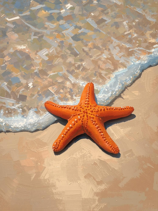 Paint By Number Starfish on Sandy Beach – Coastal Wildlife Painting