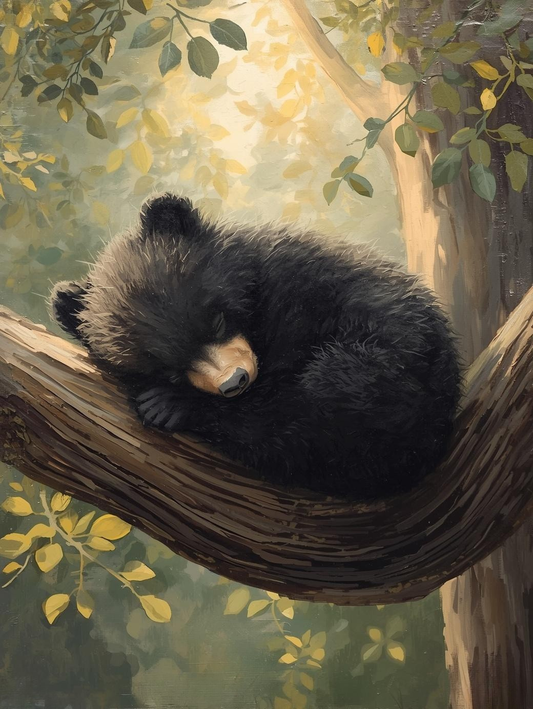 Paint By Number Tender Moment Bear Cub Resting in Trees – Sweet Nature Art Kit for Bear Lovers