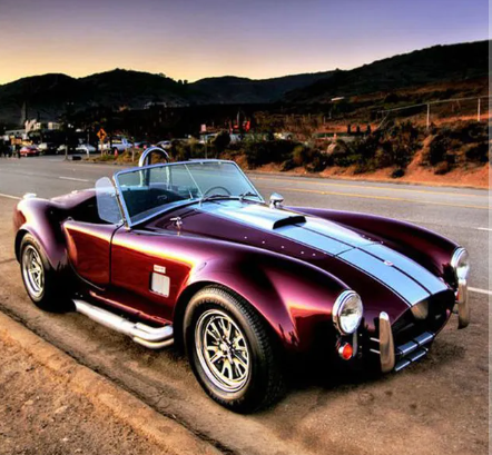 Paint by Number 1965 Ford Shelby Cobra