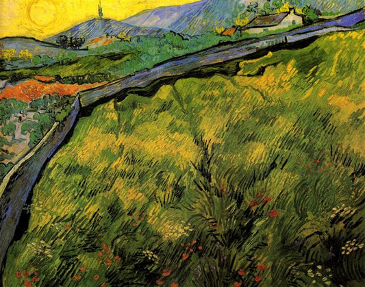 Paint by Number Field of Spring Wheat at Sunrise - Vincent Van Gogh
