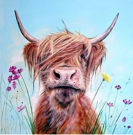 Paint by Number Highland Cow in Meadow
