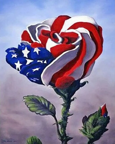 Paint By Number Star-Spangled Petals