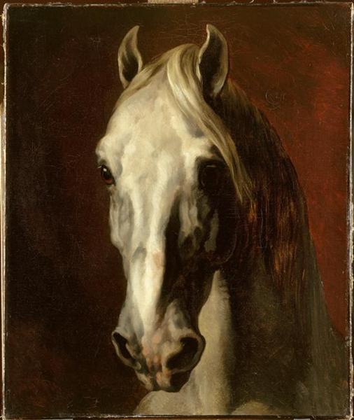 Paint by Number The head of white horse - Théodore Géricault