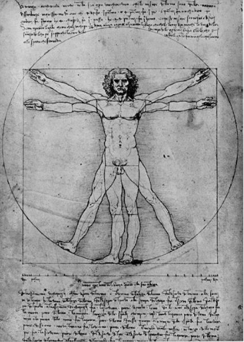 The proportions of the human figure (The Vitruvian Man) by Leonardo da Vinci