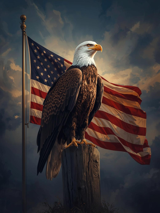 Paint by Number Bald Eagle on Post with American Flag and Sky Background - DIY Paint by Number Kit