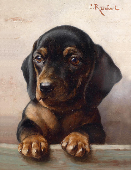 Young Dachshund Paint by Number - Carl Reichert