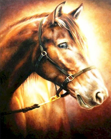 Paint By Number Farm Horse