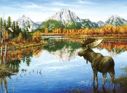 Paint By Number Moose by the Lake