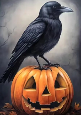 Paint by Number Crow sitting on Pumpkin