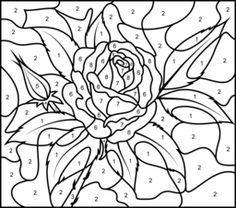 Free Color By Number Rose in Bloom