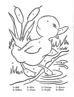 Free Color By Number  Baby Duck