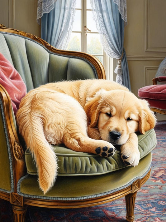 Paint by Number Cozy Nap: Golden Retriever