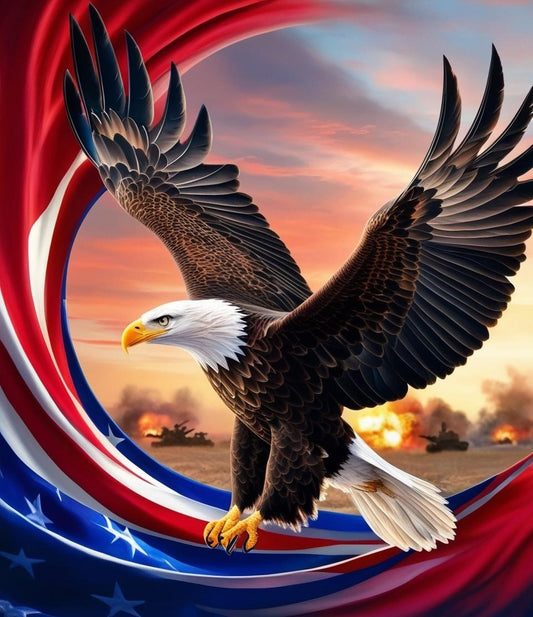 Paint by Number Stars and Stripes Eagle