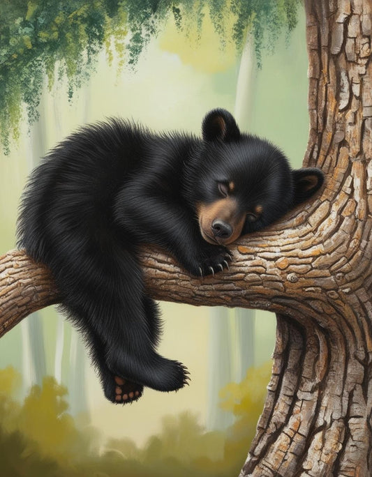 Paint By Number Sweet Dreams: Black Bear