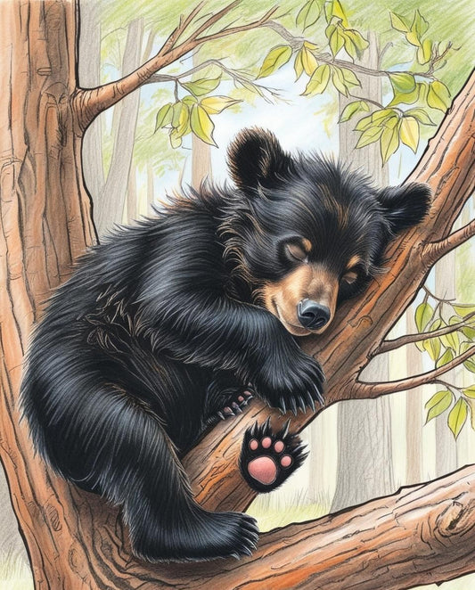 Paint By Number Black Bear Cub Taking a Nap Among the Branches