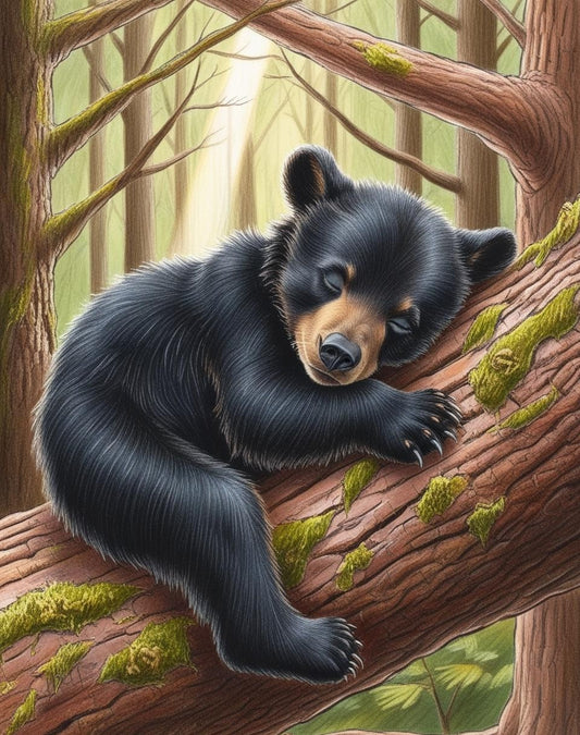 Paint By Number Black Bear Cub Cuddled in the Tree