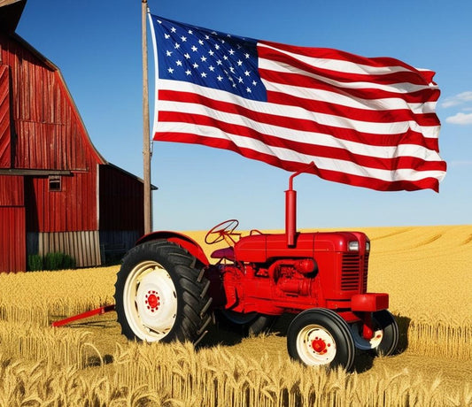 Paint by Number Patriotic Farmstead