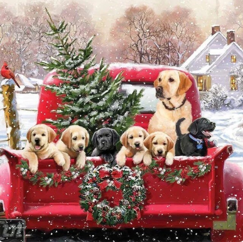 Paint By Number Puppy Wonderland: Christmas Tree Farm Adventure