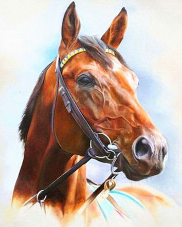 Paint By Number Farm Horse Posing