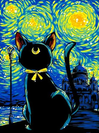 Paint by Number Black Cat Starry Night