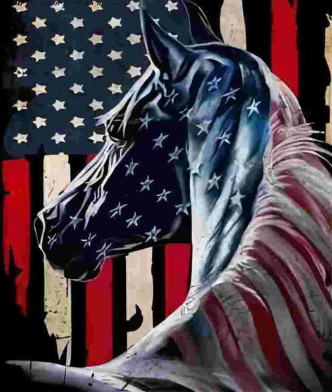 American Horse II