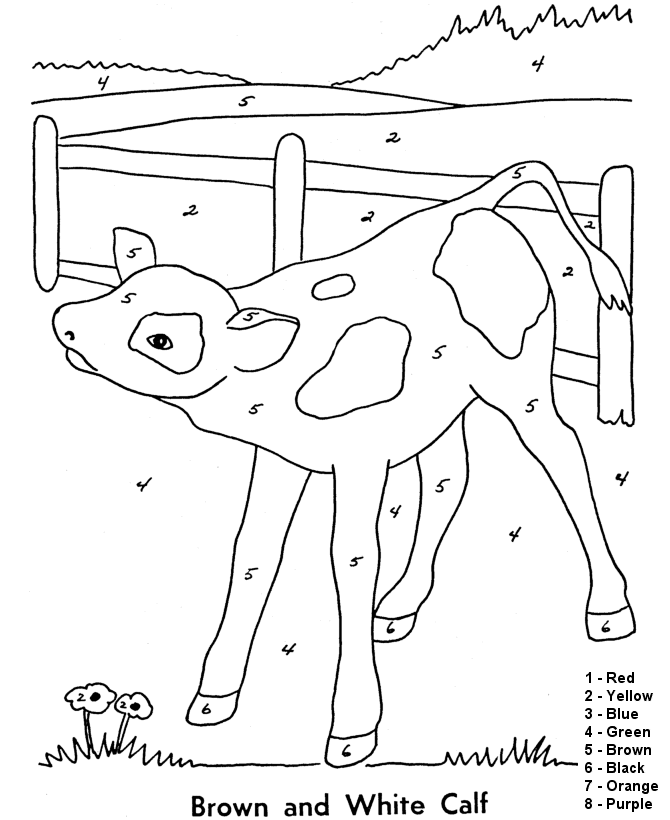 Free Color By Number  Cow