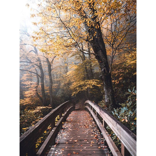 Paint By Number Autumn Landscape Bridge