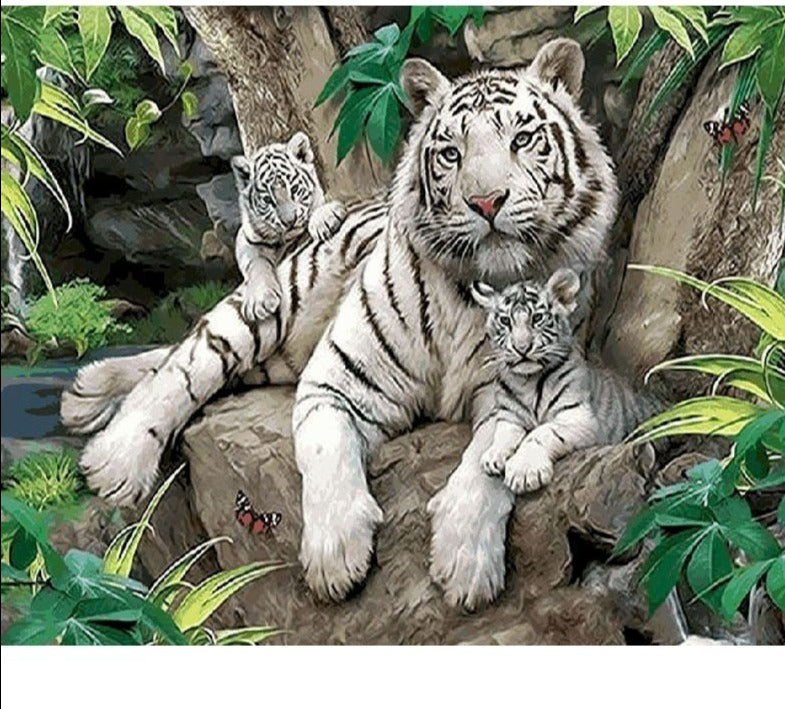 » Paint By Number White Tiger (40% off)