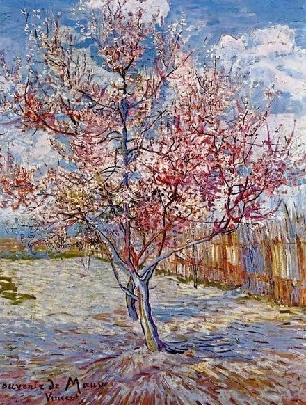 Peach Trees In Blossom By Vincent Van Gogh Paint by Number